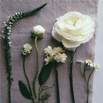 海康存储荣膺2026 CAIMRS工业芯...